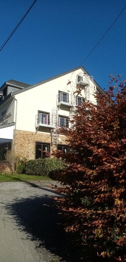 Auberge Le Vieux Moulin Poupehan エクステリア 写真